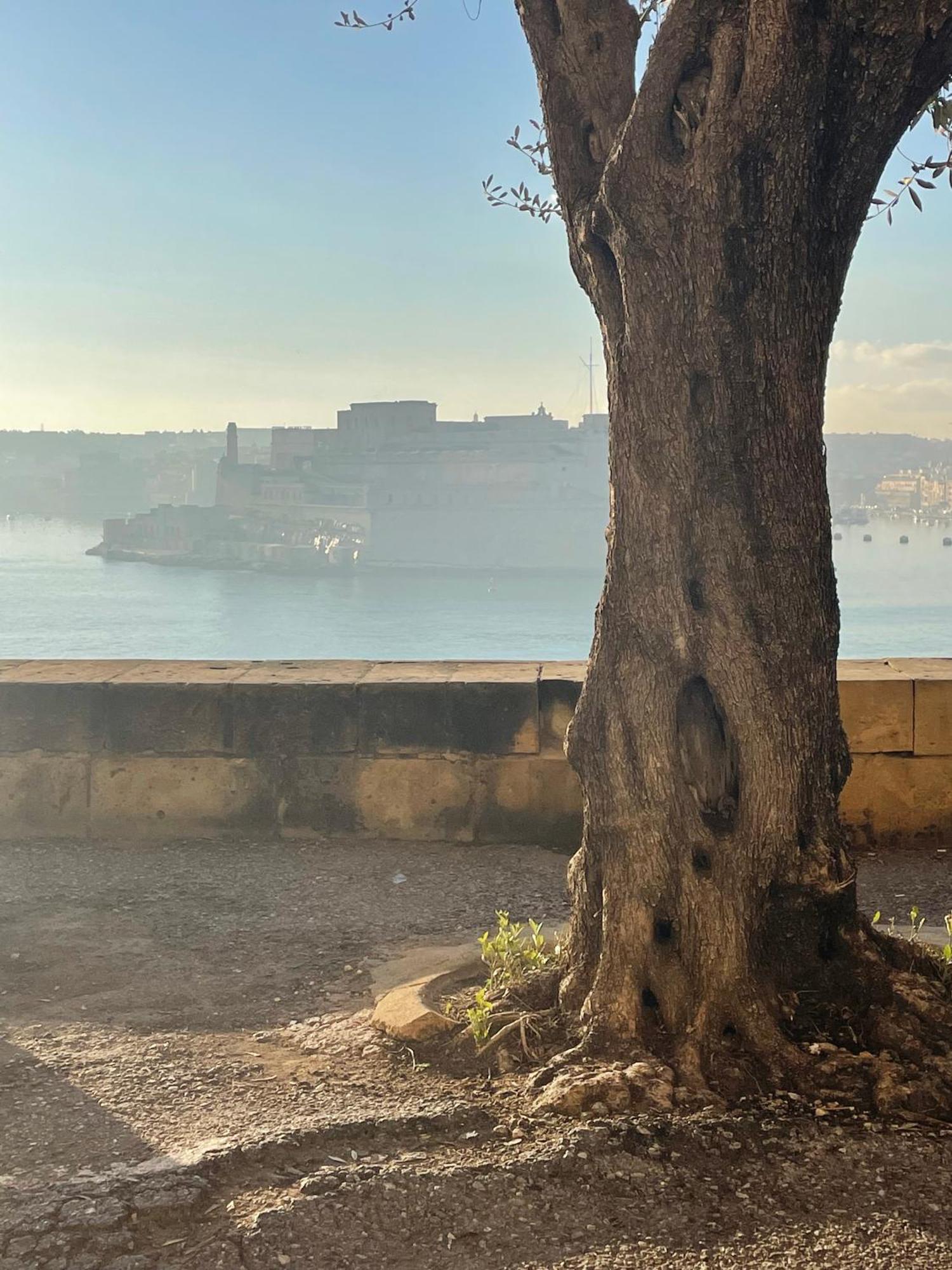 Appartamento Prestigious Pied A Terre Wignacourt With Views La La Valletta Esterno foto